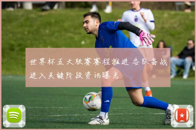 世界杯五大联赛赛程推进 各队备战进入关键阶段资讯曝光